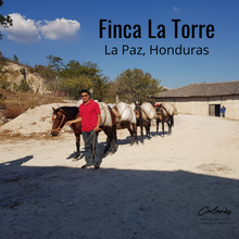 Upload image to gallery, Finca La Torre・Honduras
